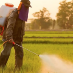 NGOs Partners Media to Halt Large Usage of Hazardous Pesticides